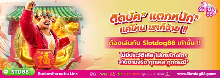 slotdog88 โปรโมชั่น
