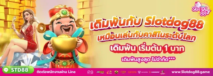 slotdog88 โปรโมชั่น